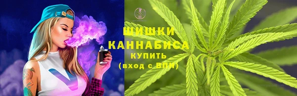СК Россошь