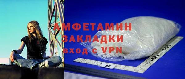 твердый Бородино