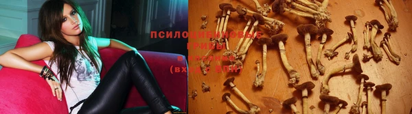 твердый Бородино