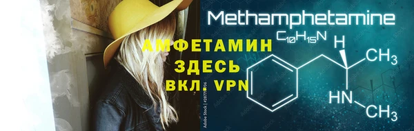 твердый Бородино