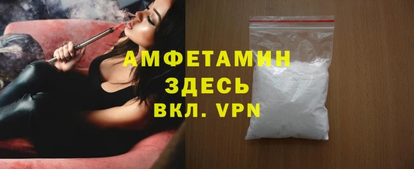 твердый Бородино
